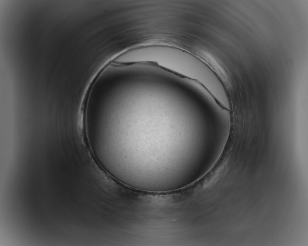 X0000093110900200710031314