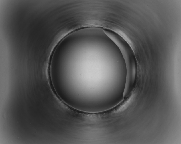 X0000093110901200710031314