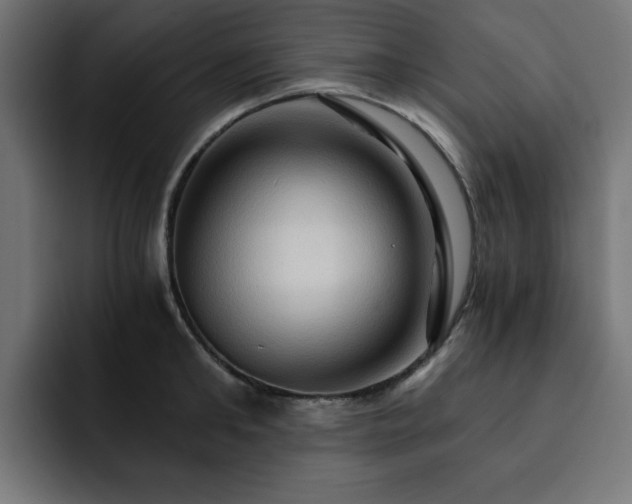 X0000093110902200710031314