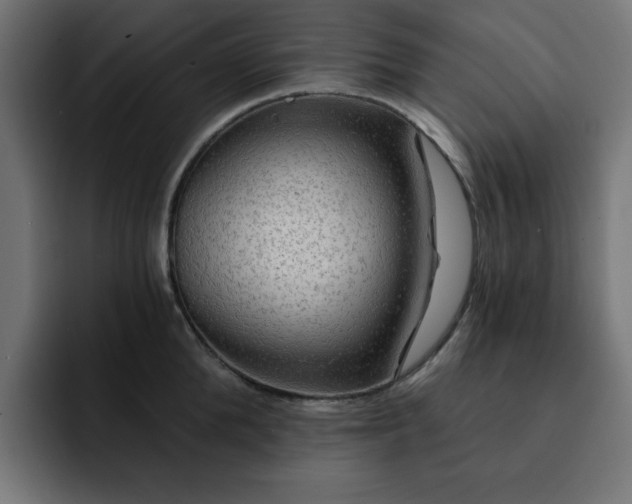 X0000093110904200710031314