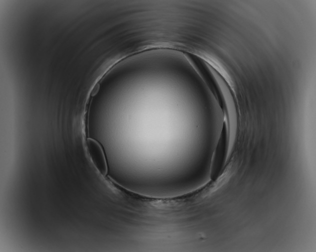 X0000093110906200710031314
