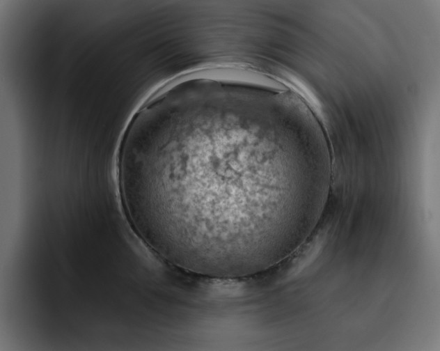 X0000093110907200710031314