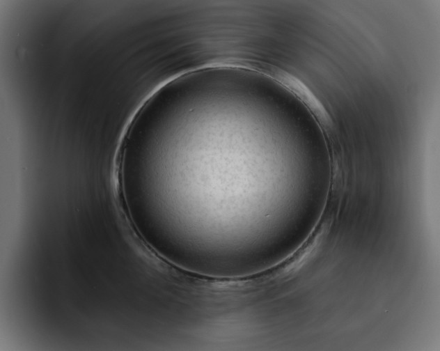 X0000093110908200710031314
