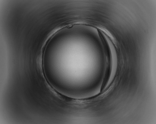 X0000093110910200710031314