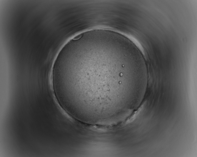 X0000093110911200710031314