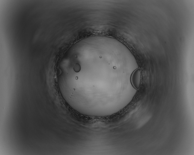 X0000093110913200710031313