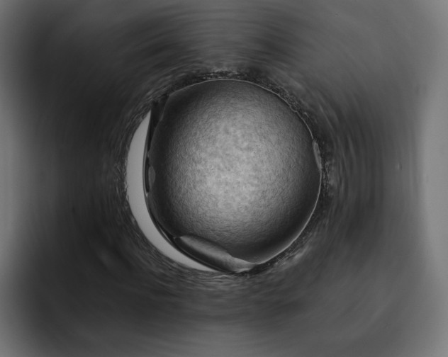 X0000093110916200710031313