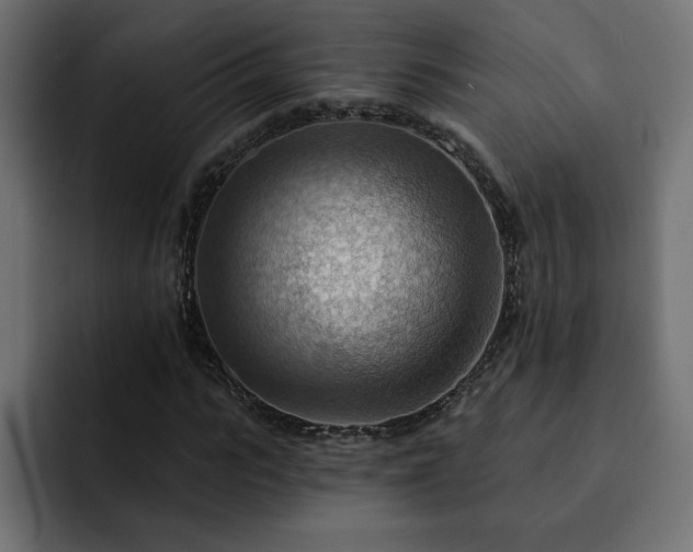 X0000093110919200710031313