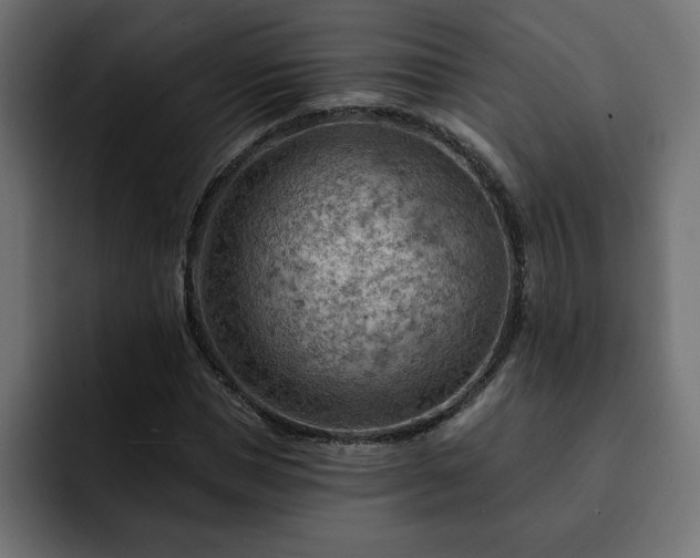X0000093110921200710031313