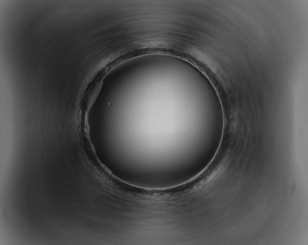 X0000093110922200710031313