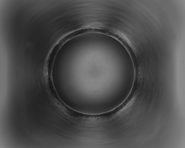 X0000093110923200710031313
