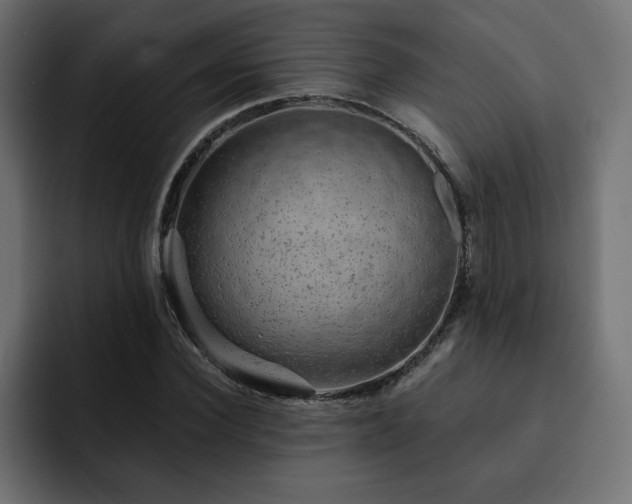 X0000093110924200710031313