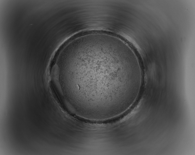 X0000093110925200710031313