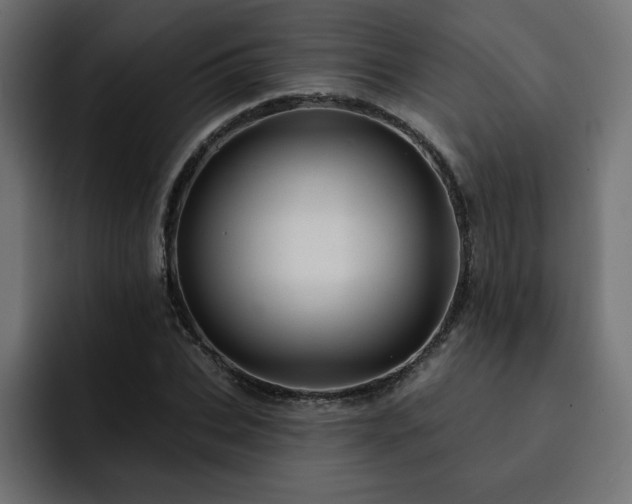 X0000093110927200710031313