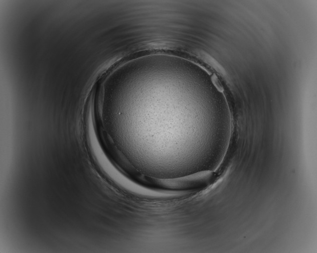 X0000093110930200710031313