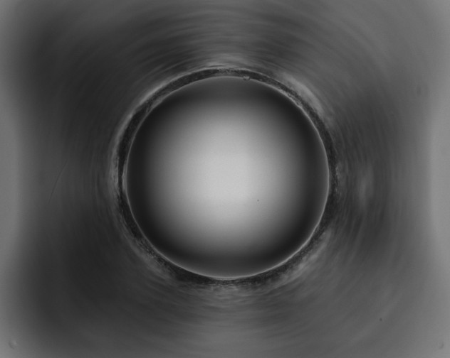 X0000093110931200710031313