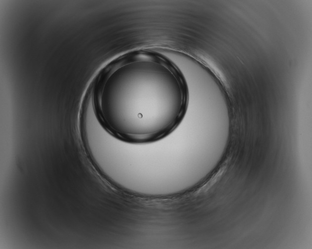 X0000093110932200710031313