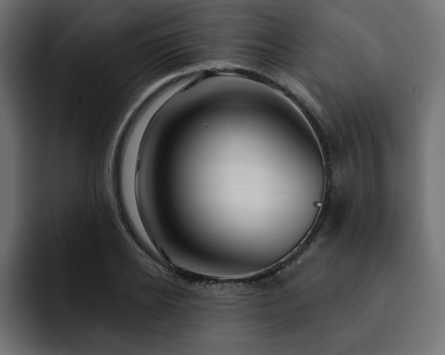 X0000093110934200710031313