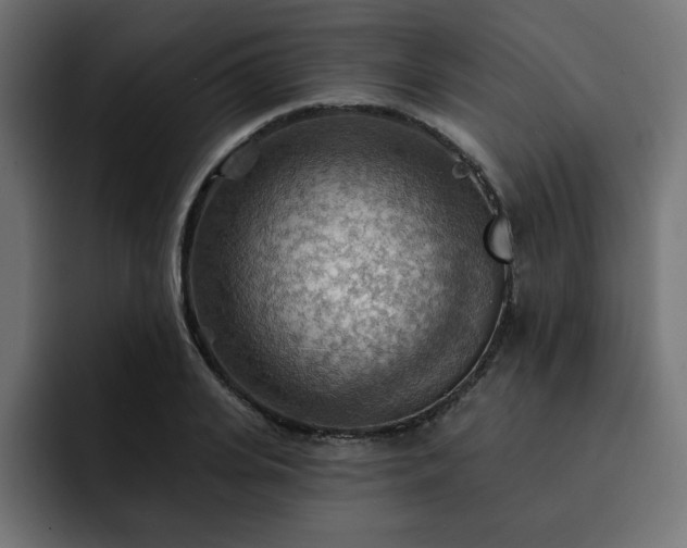 X0000093110935200710031313