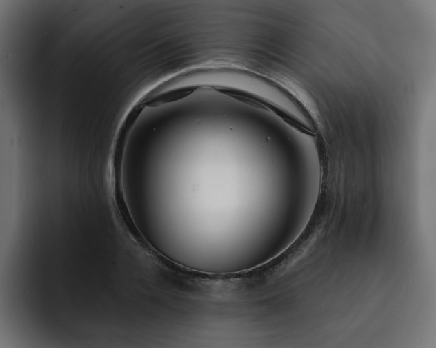 X0000093110936200710031313