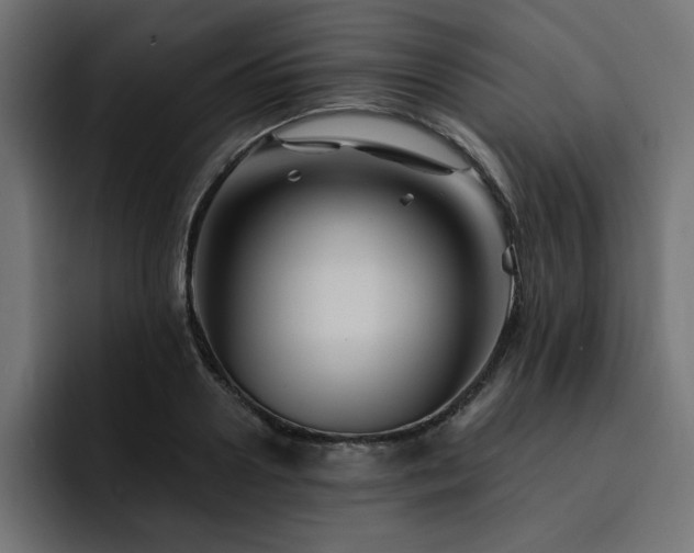 X0000093110938200710031313