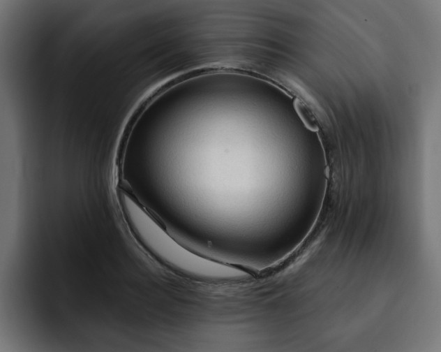 X0000093110940200710031313