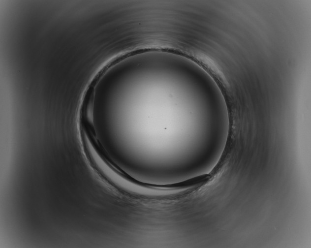 X0000093110942200710031313
