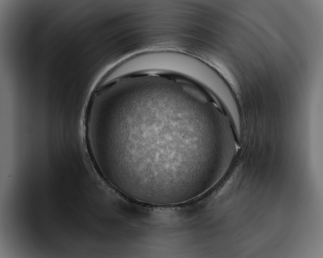 X0000093110944200710031313