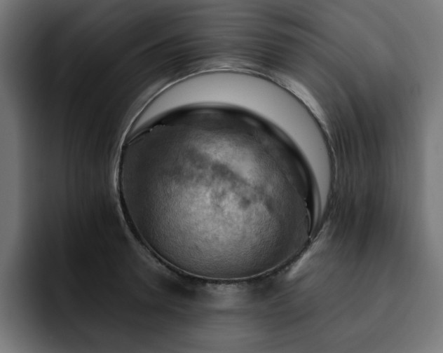 X0000093110946200710031313