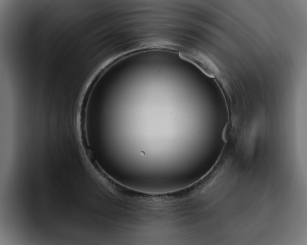 X0000093110947200710031313