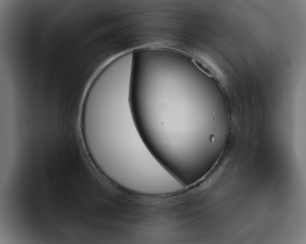 X0000093110948200710031313
