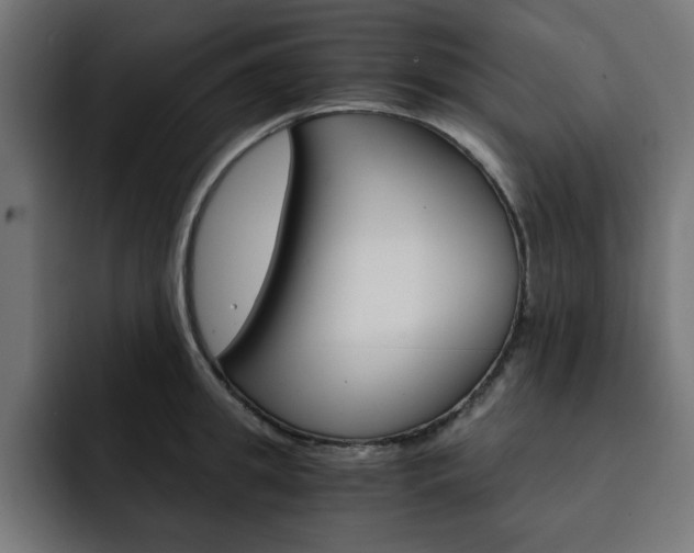 X0000093110949200710031313
