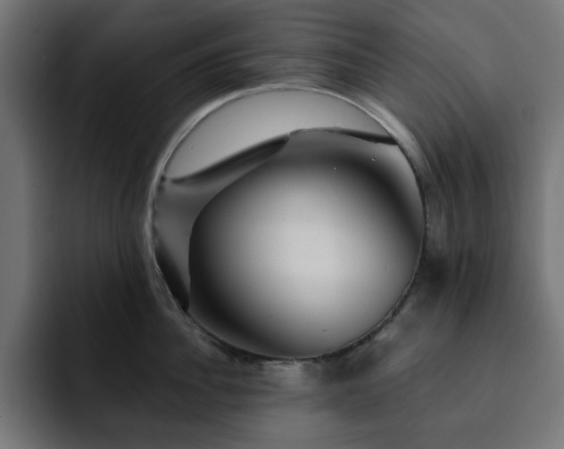 X0000093110956200710031314