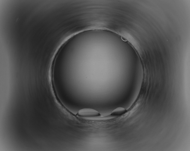 X0000093110958200710031314