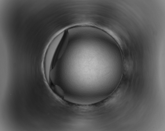 X0000093110959200710031314