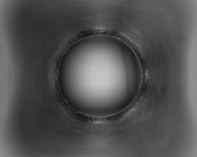X0000093110961200710031313