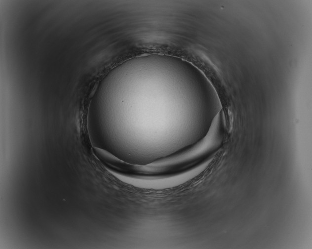 X0000093110965200710031313