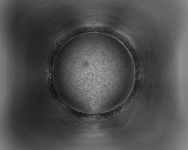 X0000093110966200710031313