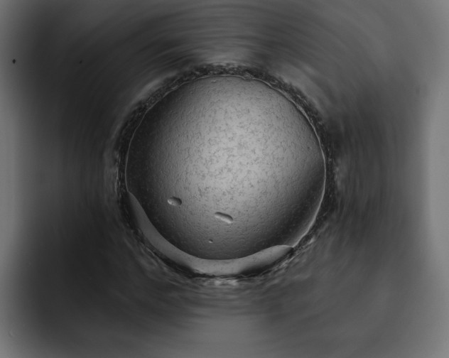X0000093110968200710031313