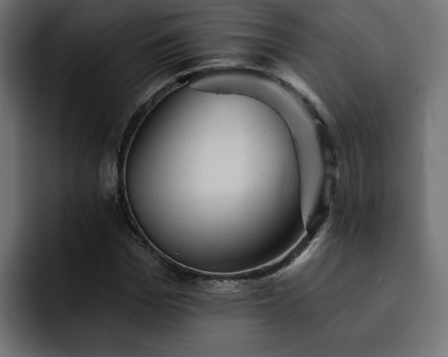 X0000093110969200710031313