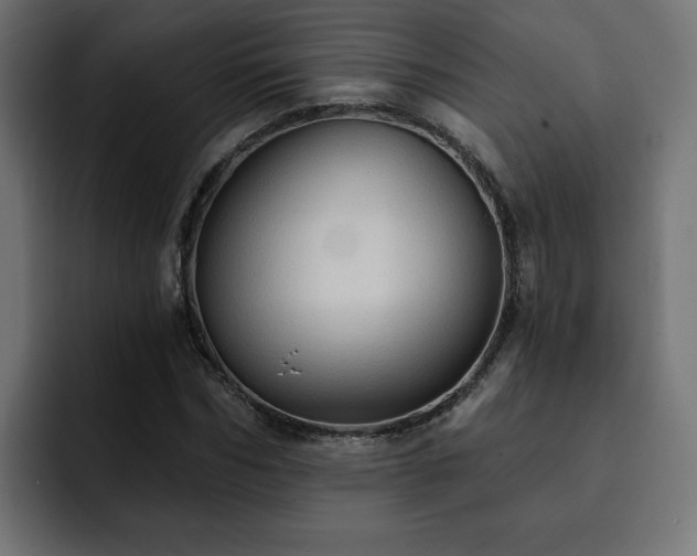 X0000093110970200710031313