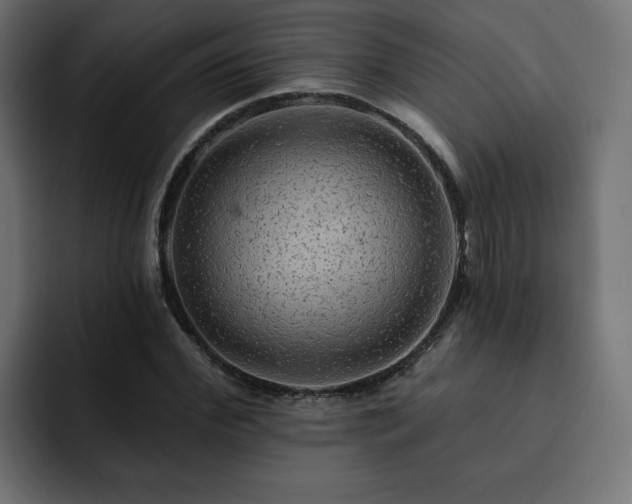 X0000093110972200710031313