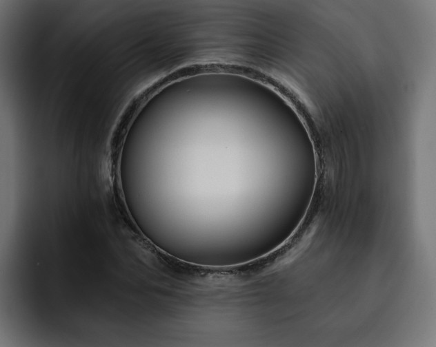 X0000093110974200710031313
