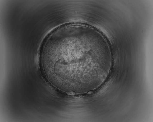 X0000093110975200710031313