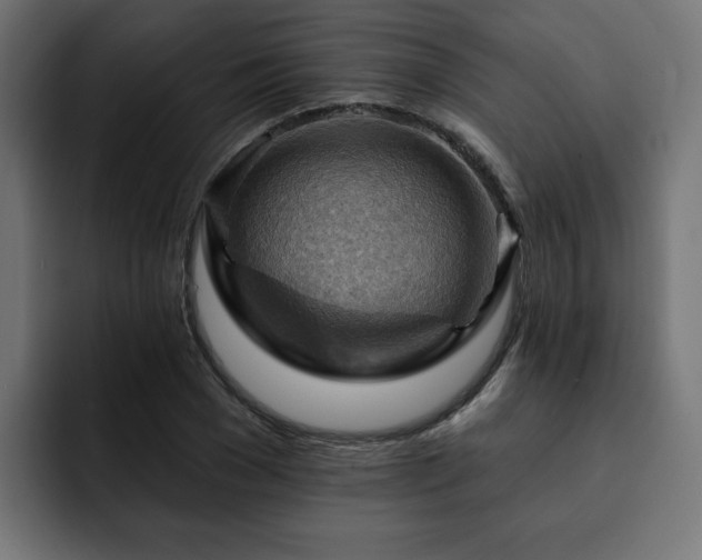 X0000093110977200710031313