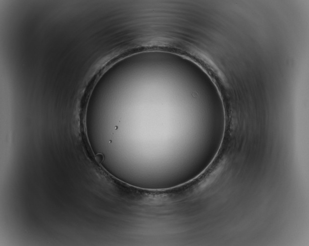 X0000093110978200710031313