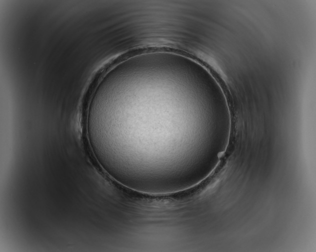 X0000093110979200710031313