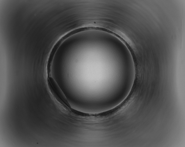 X0000093110980200710031313