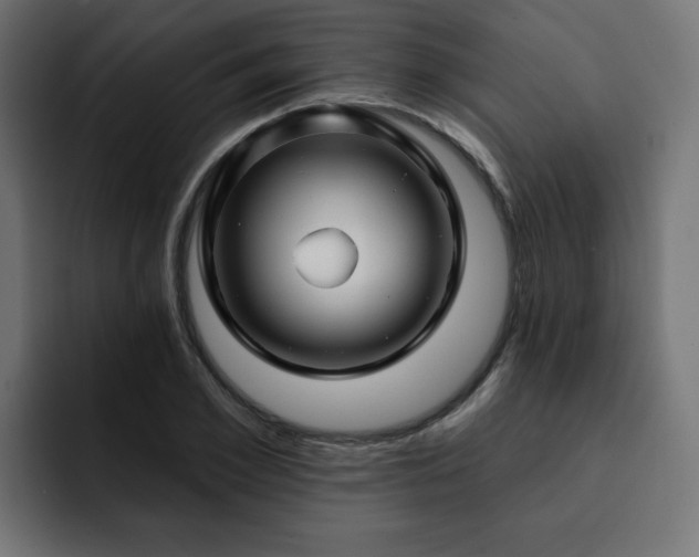 X0000093110981200710031313