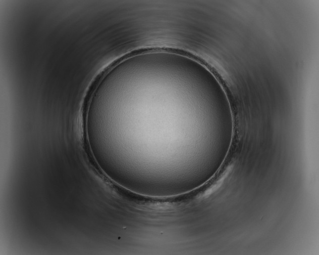 X0000093110982200710031313